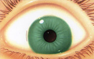 Advanced Cataract Surgery Incision